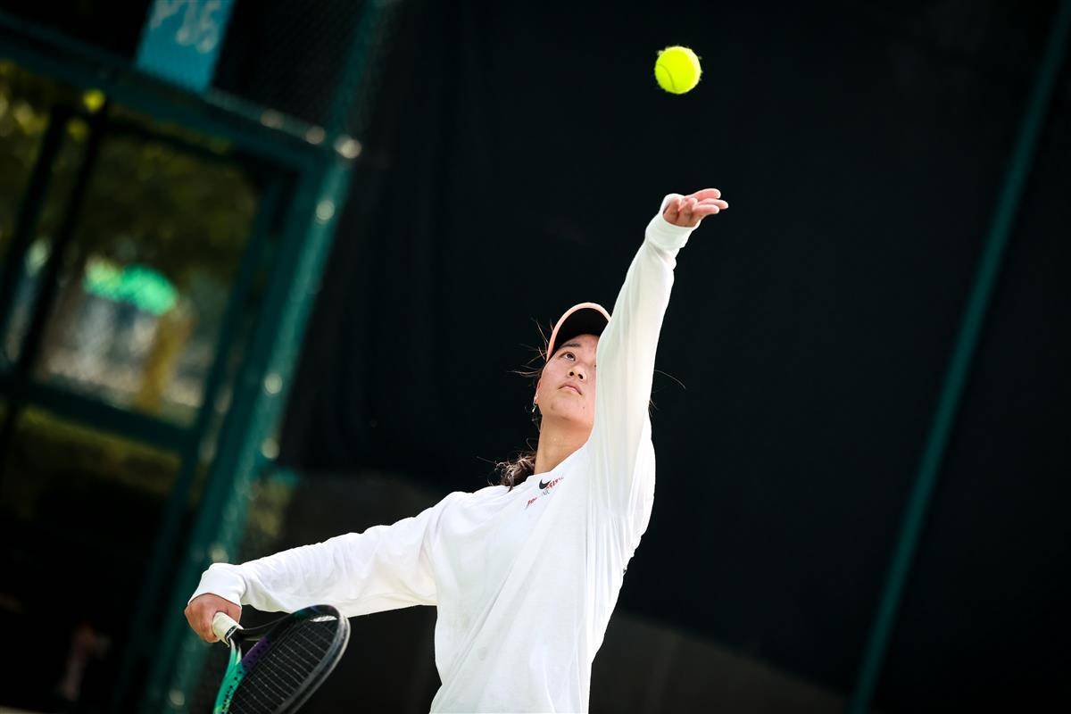 期间指出 期间指出